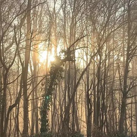 Сasa de vacaciones Ancienne Maison Rénovée Au Calme Wanze